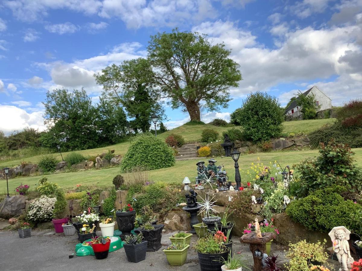 Dolla Bed and Breakfast Nenagh Esterno foto